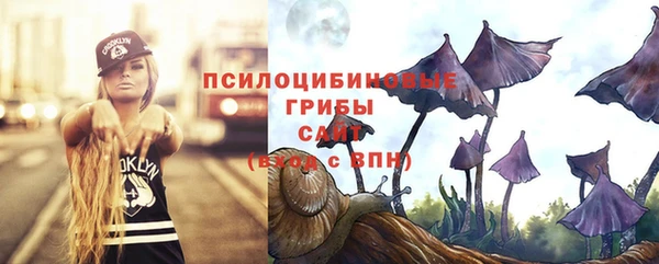тгк Арсеньев